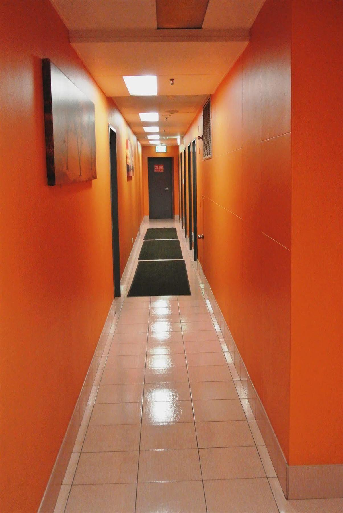 Jackaroo Hostel 시드니 외부 사진